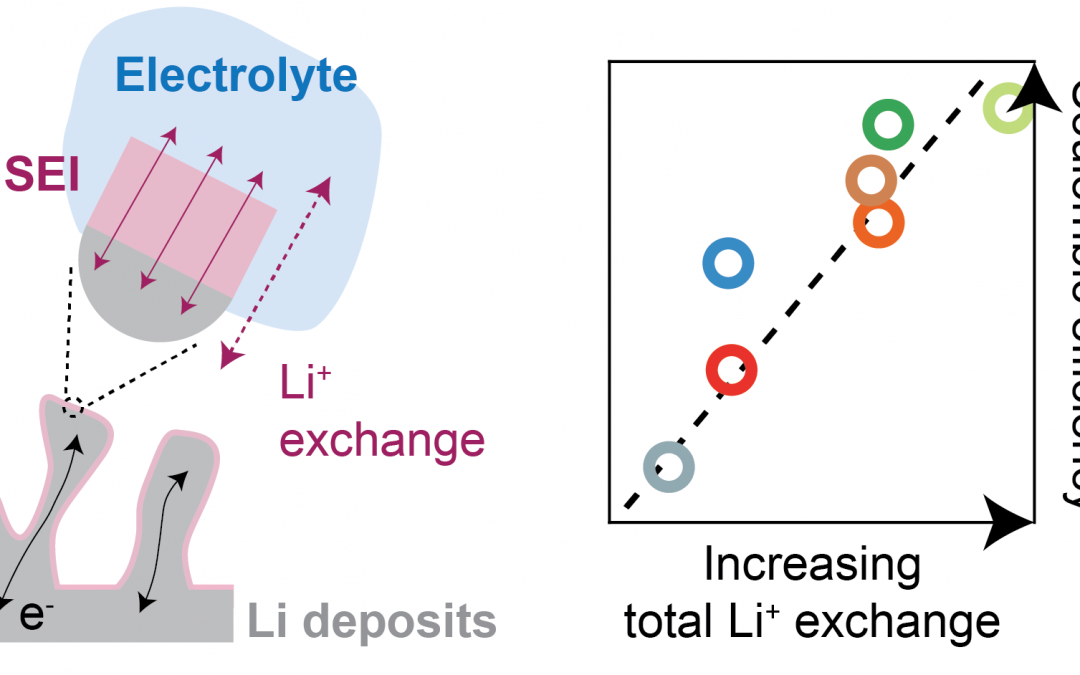 Beneficial vs. Inhibiting Passivation by the Native Lithium Solid Electrolyte Interphase Revealed by Electrochemical Li+ Exchange