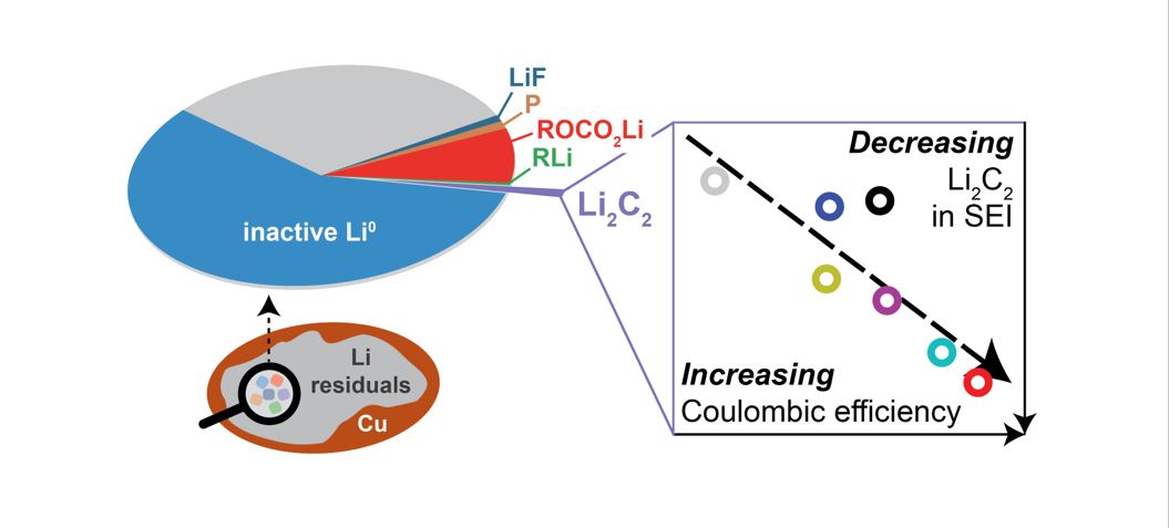 Quantifying Capacity Loss Mechanisms of Li Metal Anodes beyond Inactive Li°