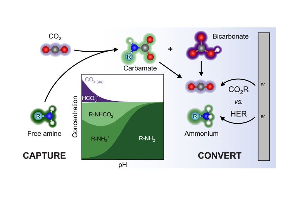 Uncovering the Active Species in Amine-Mediated CO2 Reduction to CO on Ag