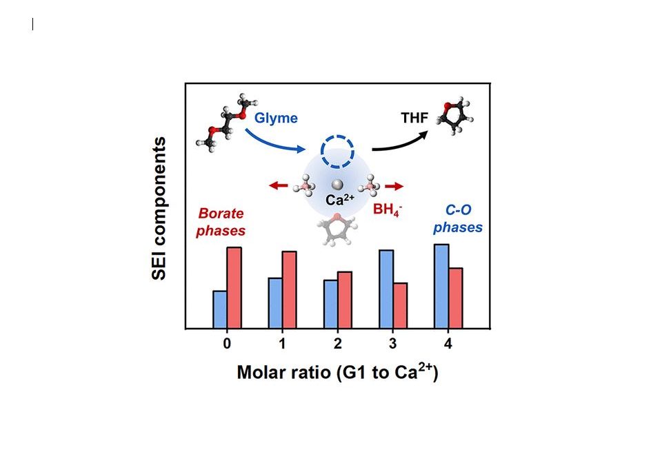 Impact of Differential Ca2+ Coordination in Borohydride-Based Electrolyte Blends on Calcium Electrochemistry and SEI Formation